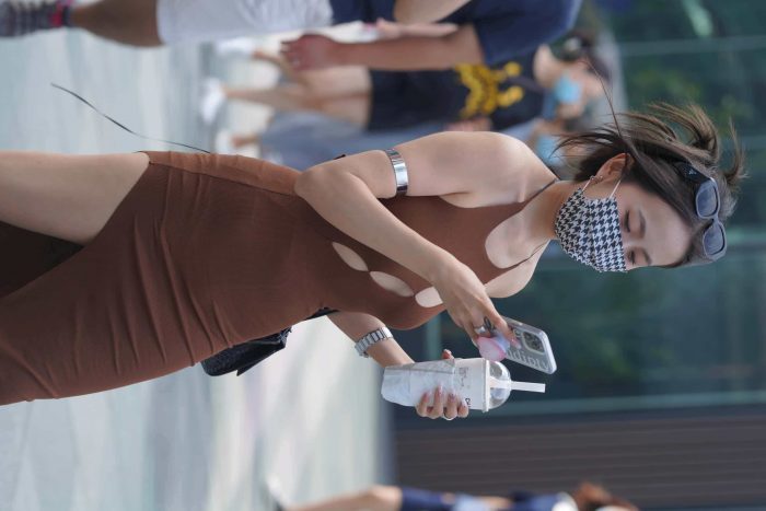 P4171 棕色修身裙 【242P】-达塔图库